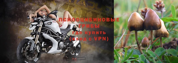 амф Новозыбков